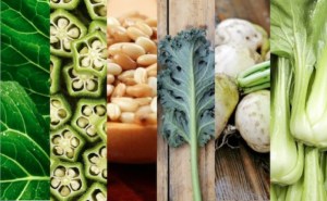 Plant Based Calcium.