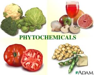 phytochemicals