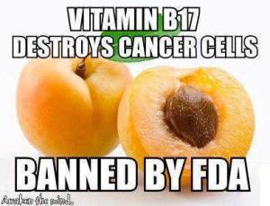 b-17banned