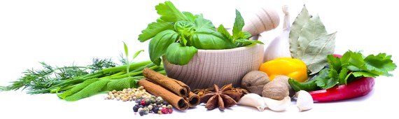 fresh green herbs, spices, mortar and pestle isolated on a white background