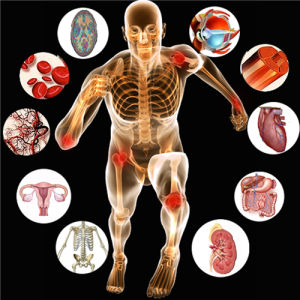 Anatomy-of-Human-Body-and-Physiology-1024x1024